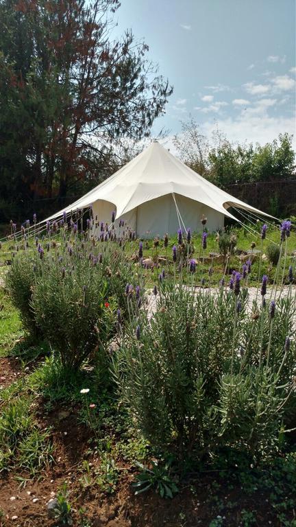 Acatitlan Glamping Hotel บาเญเดบราโว ภายนอก รูปภาพ